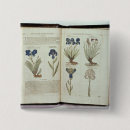 Search for book illustration buttons Herbal