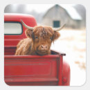 Search for pickup trucks stickers Country