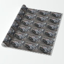 Search for corvette wrapping paper Usa