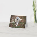 Search for funny 21st birthday cards Dog