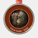 Recherche de orang outan ornements Singe