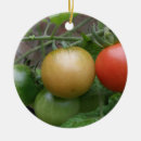 Search for traffic light ornaments Green