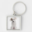 Search for mixed breeds keychains Cute