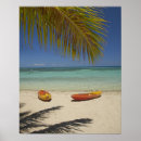 Search for plantations posters Blue