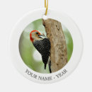Search for woodpecker ornaments Bird watching