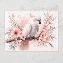 Search for pink parrot postcards Bird