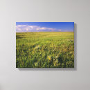 Search for remote canvas prints No people