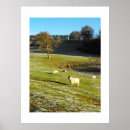 Recherche de agriculture posters Mouton