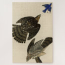 Recherche de hawk puzzles Oiseau