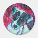 Recherche de jack russel magnets Jrt