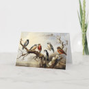 Search for winter bird cards Nature
