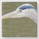 Search for herons barware Great