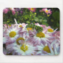 Search for aster mousepads White