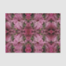 Recherche de hibiscus tissue paper Motif