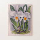 Recherche de orchidée blanche puzzles Nature