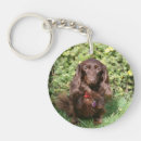 Search for dachshund long haired keychains Zwergteckel