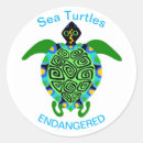 Search for tropical turtle stickers Florida