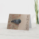 Search for pigeon cards Animal