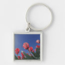 Search for very keychains Usa