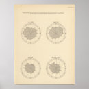 Recherche de diagrammes posters Uni
