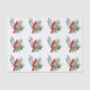 Search for cardinal tissue paper Red