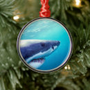 Search for shark ornaments Wildlife