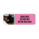 Search for siamese return address labels Blue eyes cat