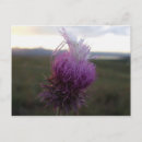 Search for be different postcards Purple