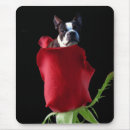 Search for happy valentines day mousepads Red