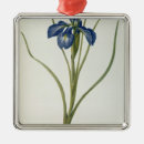 Recherche de iris ornements Botanique