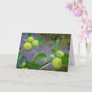 Search for fig Trees