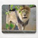 Search for lion mousepads Wildlife