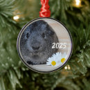 Search for guinea pigs christmas decor Cute
