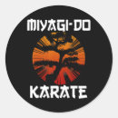 Search for karate lovers stickers 80s