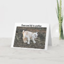 Search for humor nephew birthday cards Niece