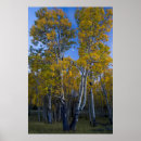 Search for autumn moon posters Blue