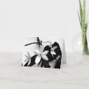 Recherche de très bien vœux cartes Photographie