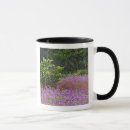 Search for drummond mugs South carolina