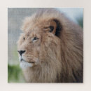 Recherche de lion puzzles Majestueux