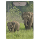 Search for environment clipboards Habitat
