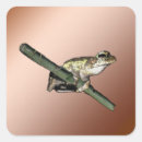 Search for frog painting stickers Amphibian