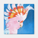 Recherche de animaux sauvages magnets Tropical