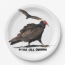 Search for road kill Vulture