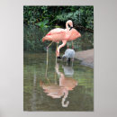 Search for wade posters Pink