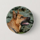 Recherche de deutscher badges Chien