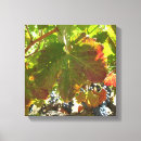 Search for vineyard canvas prints Grape vines
