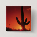 Search for at dusk buttons Usa