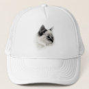 Search for fluffy white hats Cat