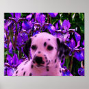 Recherche de dalmates art Pour elle