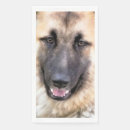 Recherche de de de berger allemand serviettes Bergers allemands